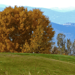 Eagle Trace Golf Club