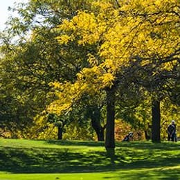 Theodore Wirth Golf Club (Par 3)