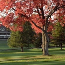 Pinecrest Country Club - Brookville