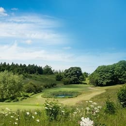 Greetham Valley (Academy)