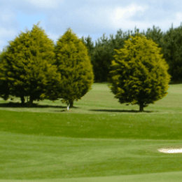 Treloy Golf Club
