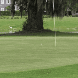 Belle Terre Country Club