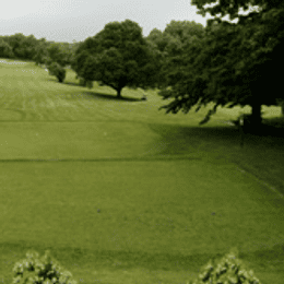 Forest Park Golf Course