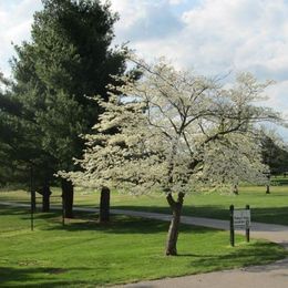 Gay Brewer Jr Course at Picadome