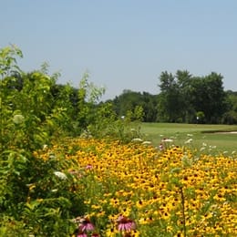Pitman Golf Course