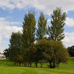 Highwoods Golf Club