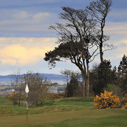 St Andrews Links (Balgove)