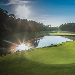 Walt Disney World Resort (Palm)