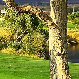 Sierra Sage Golf Course
