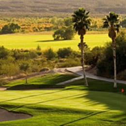 Palms Golf Club