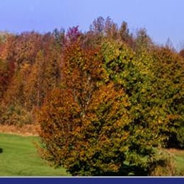 Mountain View Golf Course