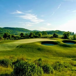 Crystal Springs Resort - Wild Turkey