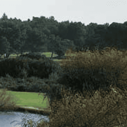 Golf de Saint Thomas