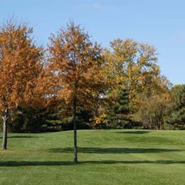 Pretty Lake Golf Club