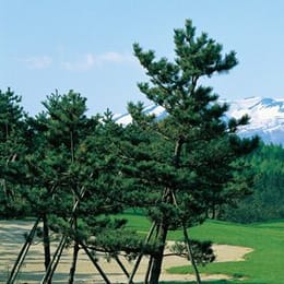 Island Golf Park Sakata