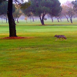 Diablo Creek Golf Course