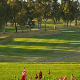 Mesa Country Club