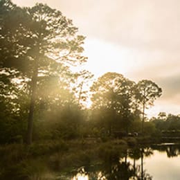 Sandestin Golf & Beach Resort (Raven)