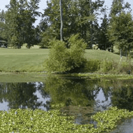 Magnolia Meadows Golf Course