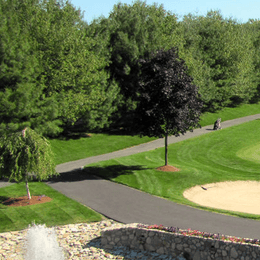 The Course at Tree House