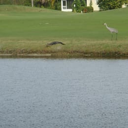 Gator Trace Golf & Country Club