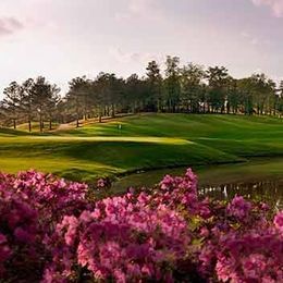 RTJ Golf Trail at Ross Bridge