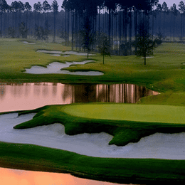 Amelia National Golf & Country Club