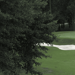 Timberline Golf Club