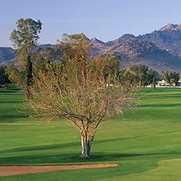 Arizona Biltmore Golf Club (The Links)