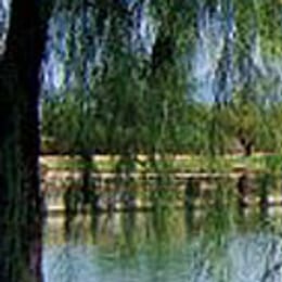 Apache Creek Golf Club