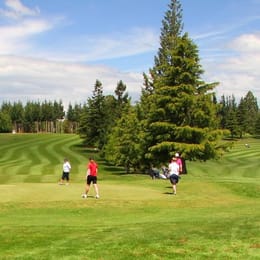 Waimate Golf Club