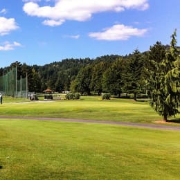 Mint Valley Golf Course