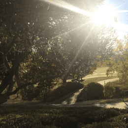 Catta Verdera Country Club