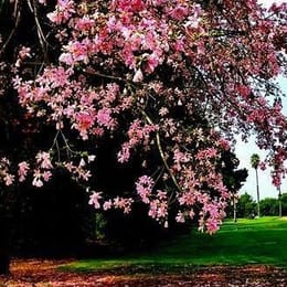 Dad Miller Golf Course