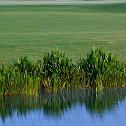 The Ritz-Carlton Members Golf Club Sarasota