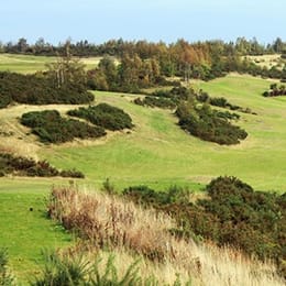 Caddy Shack Golf Centre