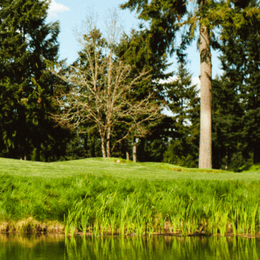 The Classic Golf Club