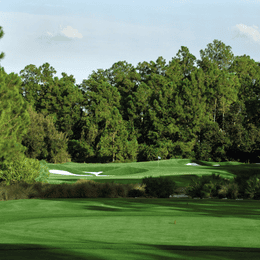 The Golden Bear Club