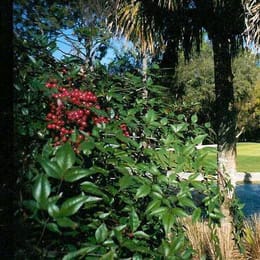 Sweetwater Golf & Country Club