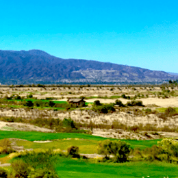 The Links at Summerly