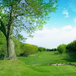 Hitsujigaoka Country Club - B