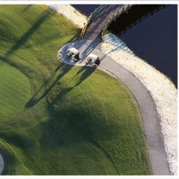 Ocean Ridge Plantation - Lion's Paw Golf Links