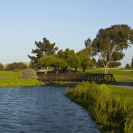 Shoreline Golf Links