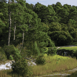 Orange Lake Resort (Legends Walk)