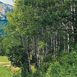 Fairmont Jasper Park Lodge Golf Club