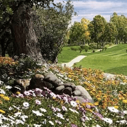 Club de Golf El Coto