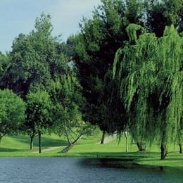 Vista Valencia Golf Course (Par 3)