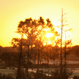 Lely Resort Golf & Country Club (Mustang)