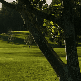 Recreation Park Golf Course (South 9)