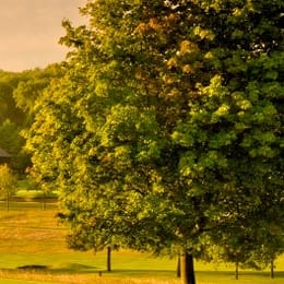 Rochester & Cobham Park Golf Club